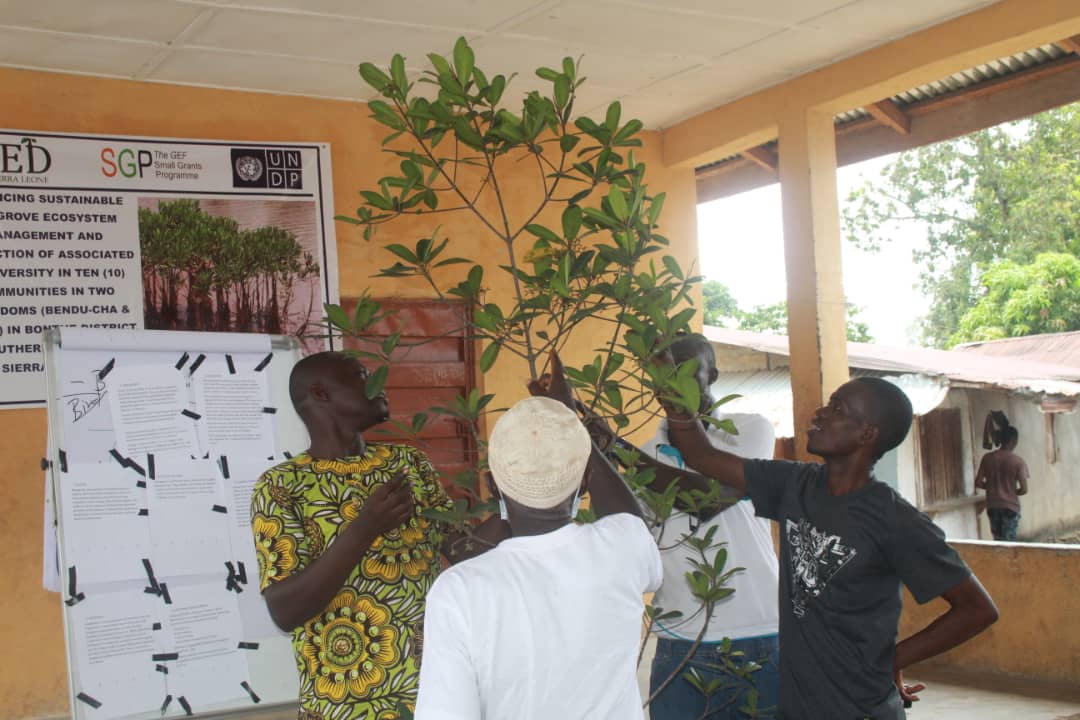 mangrove management training (1)